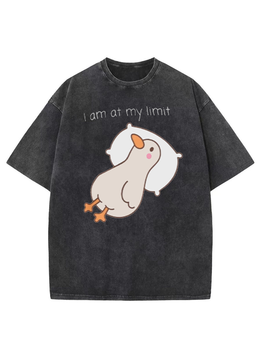 Vintage I Am At My Limit Washed T-Shirt