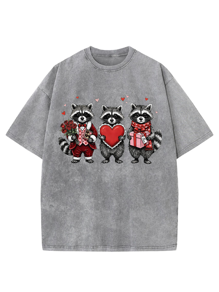 Vintage Valentines Raccoon Washed T-Shirt