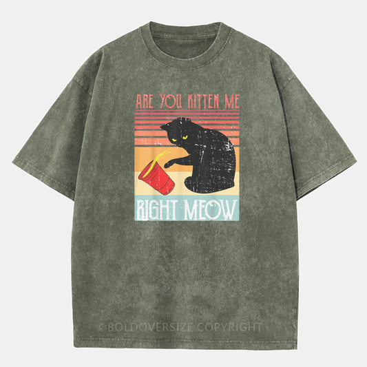 Vintage Are You Kitten Me Right Meow Washed T-Shirt