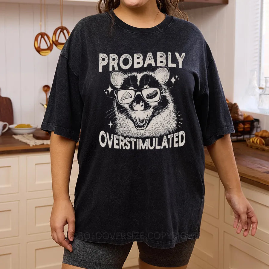 Vintage Probably Overstimulated Washed T-Shirt