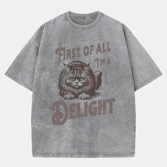 Vintage I'M A Delight Washed T-Shirt