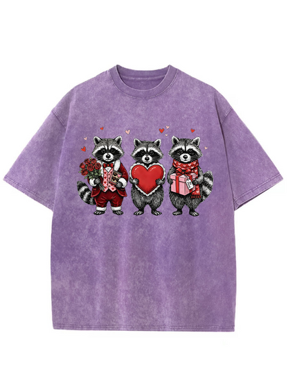 Vintage Valentines Raccoon Washed T-Shirt