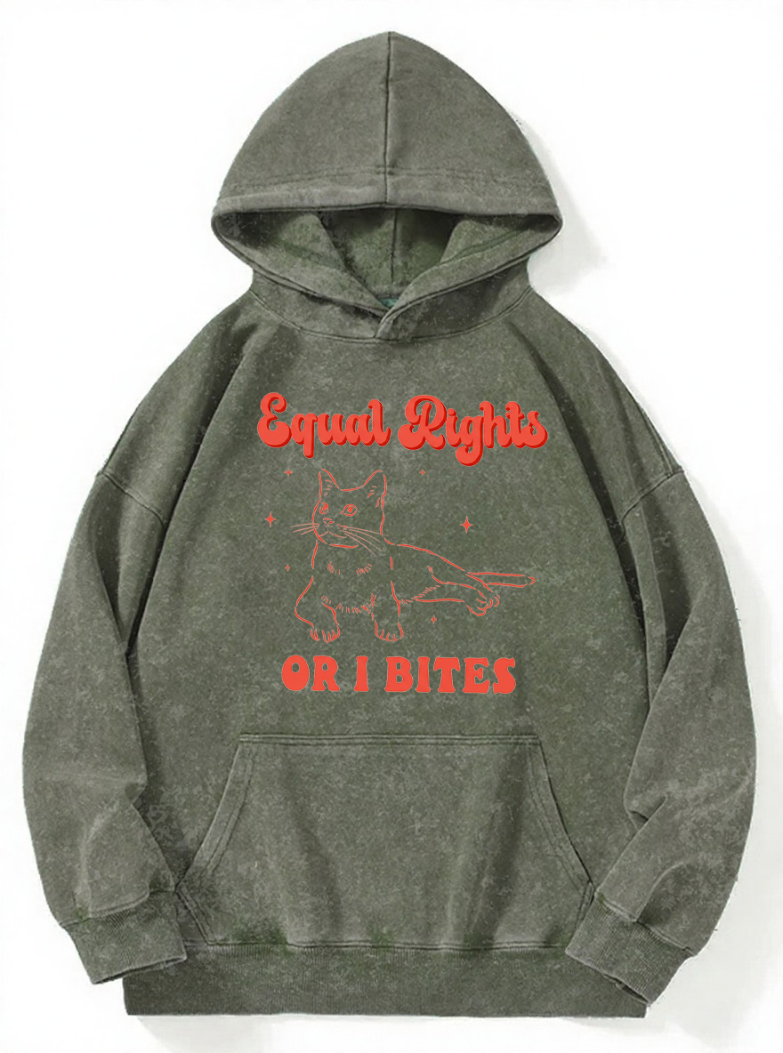 Vintage Equal Rights Or I Bites Cat Washed Hoodie
