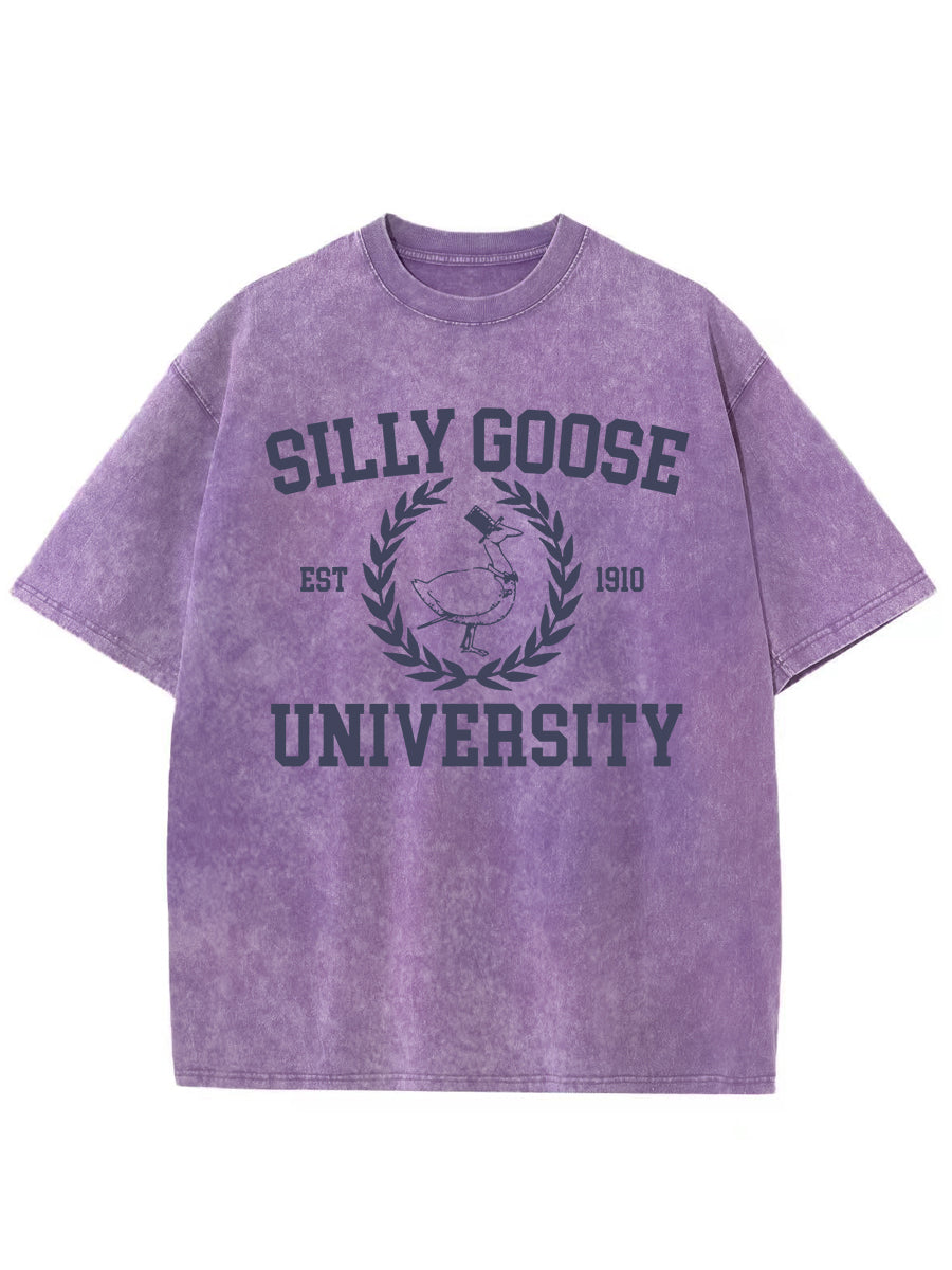 Vintage Goose University Crewneck Washed T-Shirt