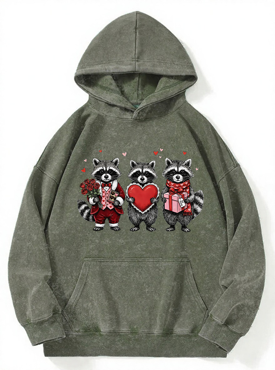 Vintage Valentines Raccoon Washed Hoodie