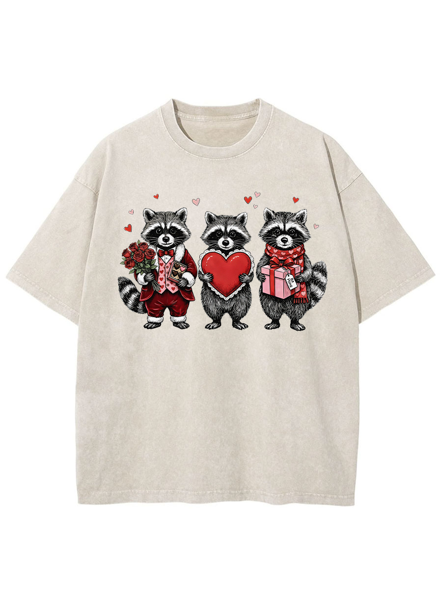 Vintage Valentines Raccoon Washed T-Shirt
