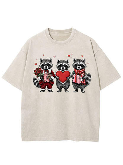 Vintage Valentines Raccoon Washed T-Shirt