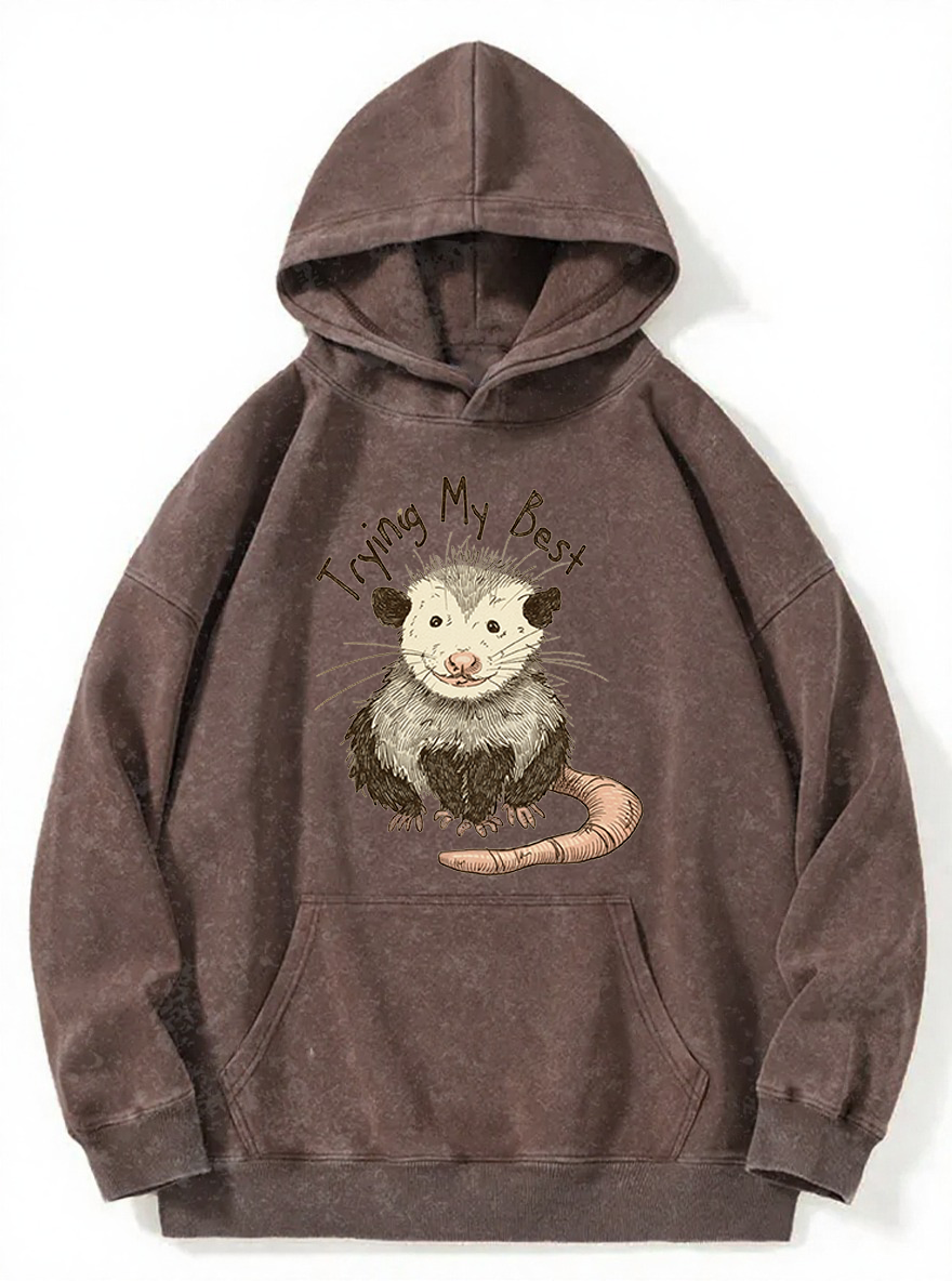Vintage Trying Best Mouse Washed Hoodie