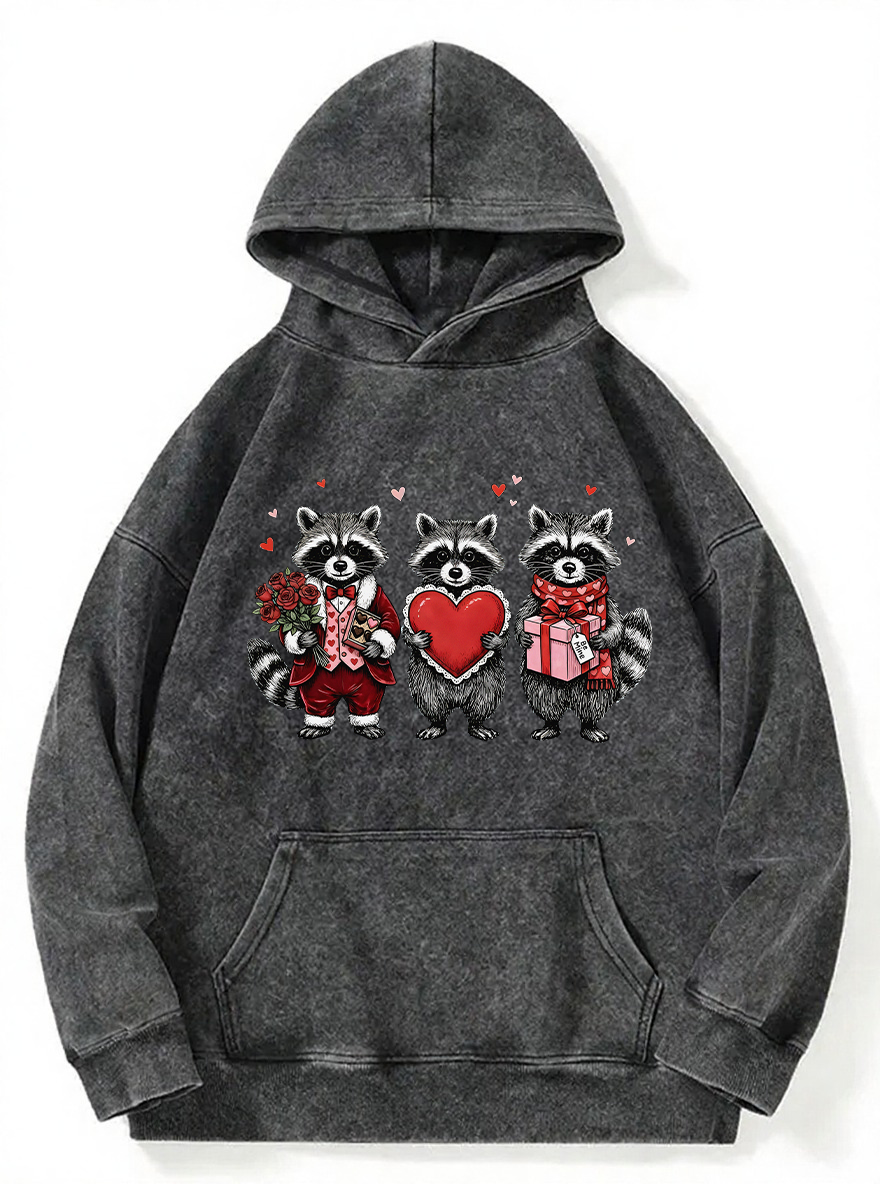 Vintage Valentines Raccoon Washed Hoodie