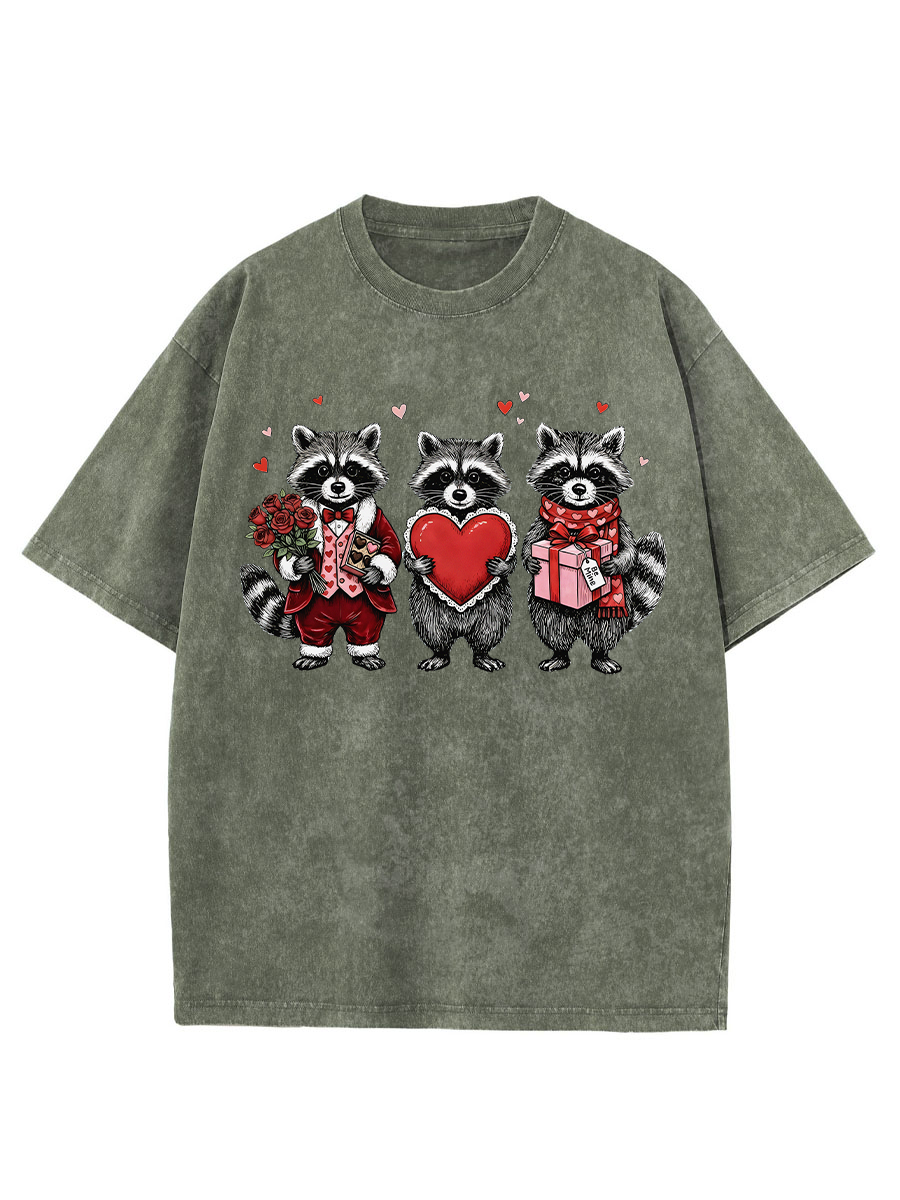 Vintage Valentines Raccoon Washed T-Shirt
