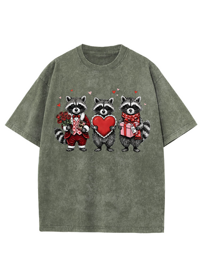 Vintage Valentines Raccoon Washed T-Shirt