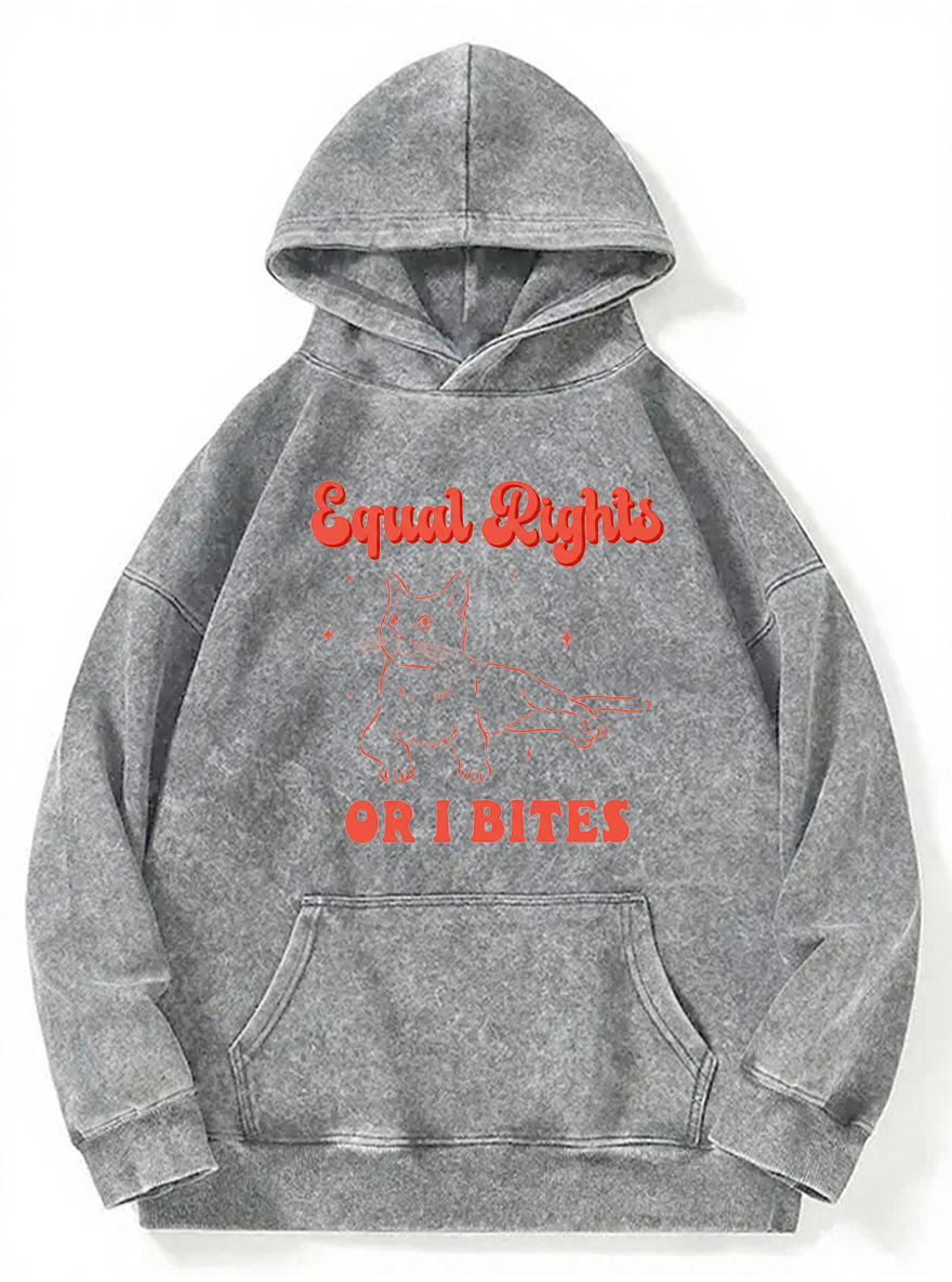 Vintage Equal Rights Or I Bites Cat Washed Hoodie