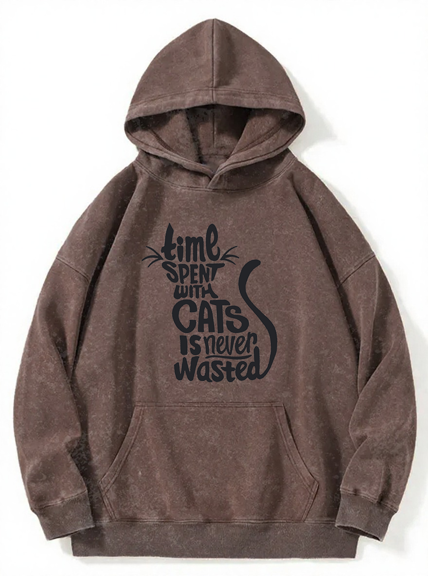 Vintage Time Spent With Cats Is Never Wasted Washed Hoodie