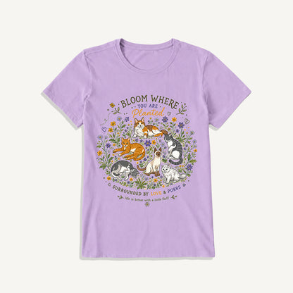 Blooming Cats & Wildflowers Print Crew Neck Cotton Tee