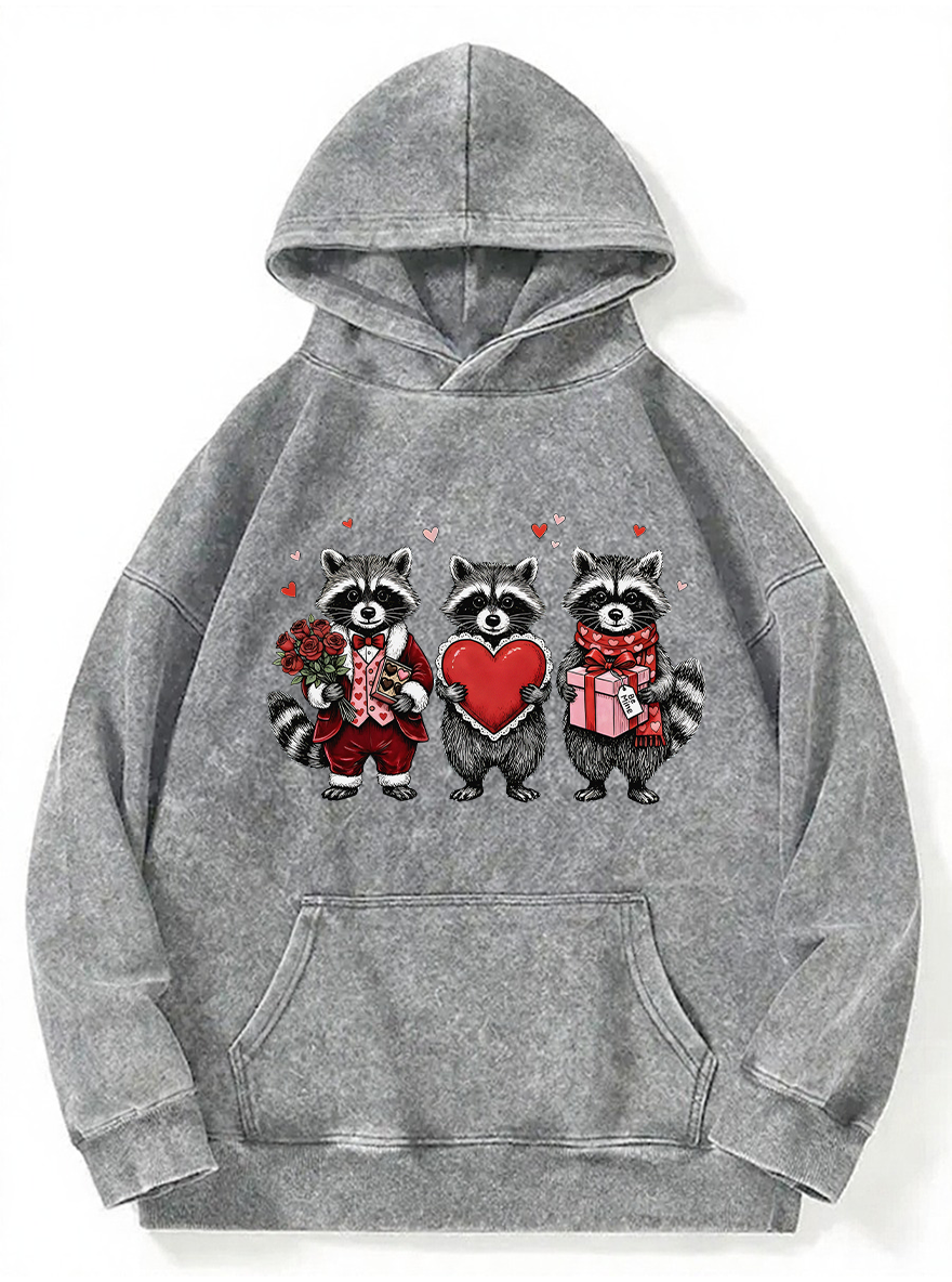Vintage Valentines Raccoon Washed Hoodie