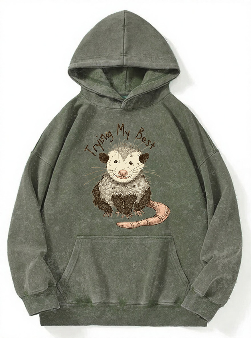 Vintage Trying Best Mouse Washed Hoodie