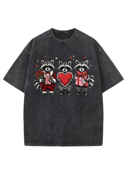 Vintage Valentines Raccoon Washed T-Shirt
