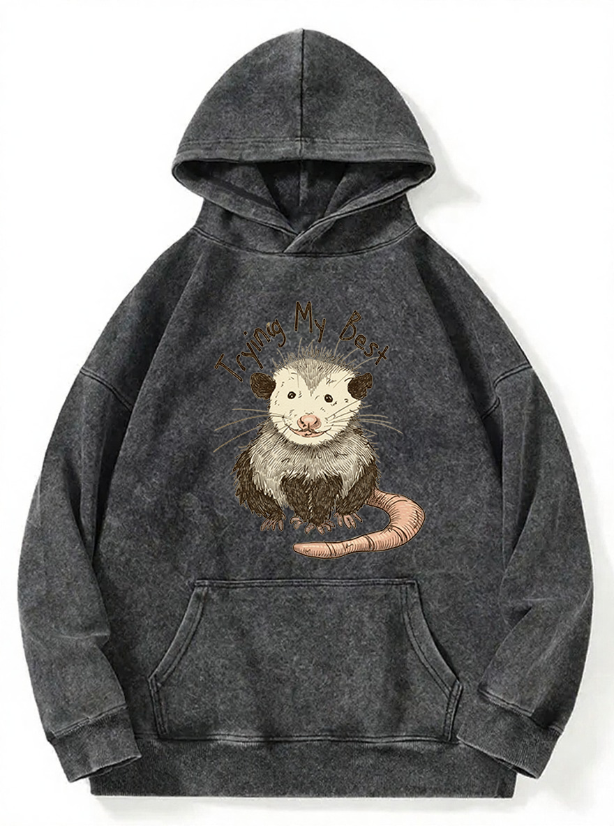 Vintage Trying Best Mouse Washed Hoodie