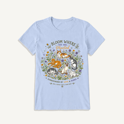 Blooming Cats & Wildflowers Print Crew Neck Cotton Tee
