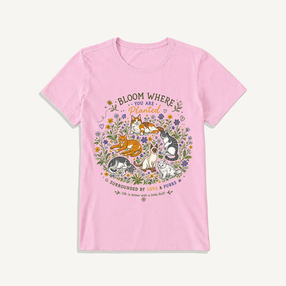 Blooming Cats & Wildflowers Print Crew Neck Cotton Tee