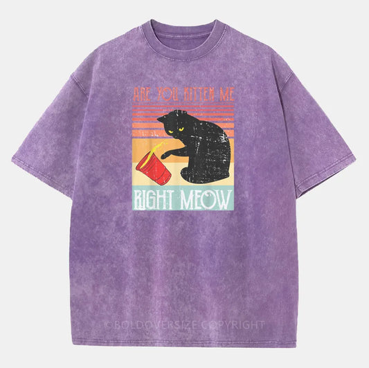 Vintage Are You Kitten Me Right Meow Washed T-Shirt