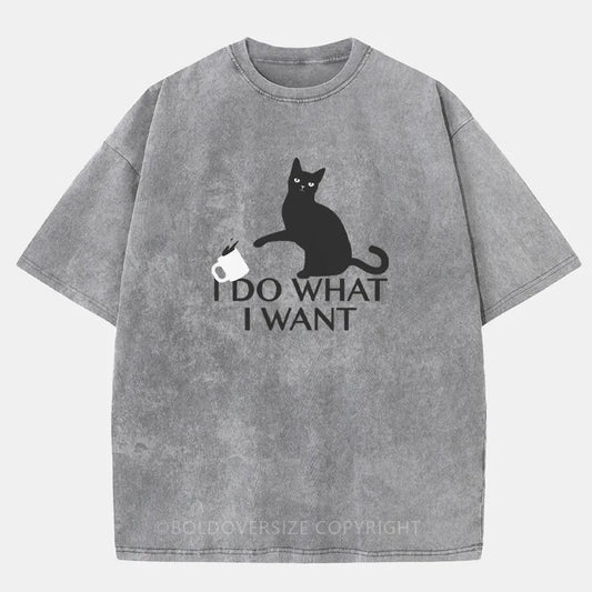 Vintage I Do What I Want Washed T-Shirt