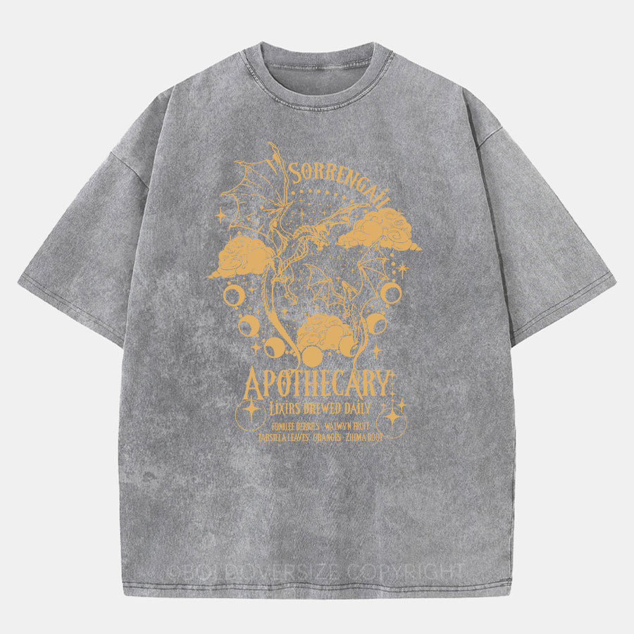 Vintage Dragon Violet Washed T-Shirt