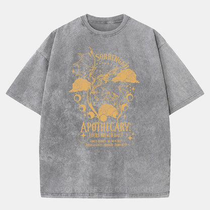 Vintage Dragon Violet Washed T-Shirt