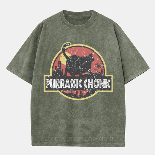 Vintage Purrassic Chonk Washed T-Shirt