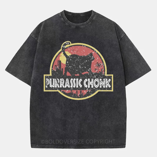 Vintage Purrassic Chonk Washed T-Shirt