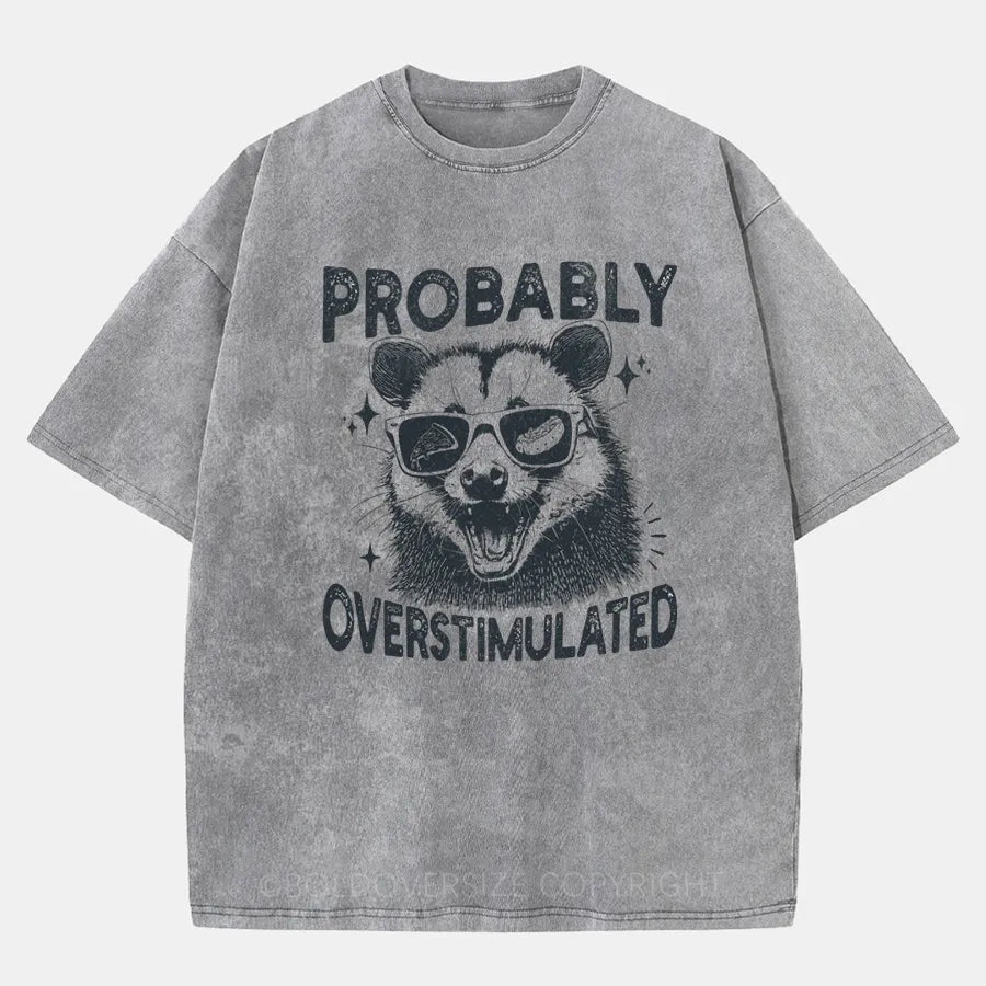 Vintage Probably Overstimulated Washed T-Shirt