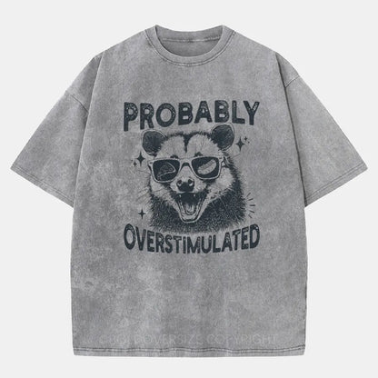 Vintage Probably Overstimulated Washed T-Shirt