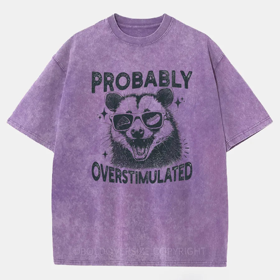 Vintage Probably Overstimulated Washed T-Shirt
