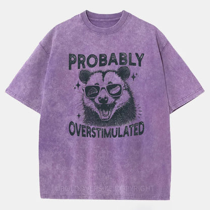 Vintage Probably Overstimulated Washed T-Shirt