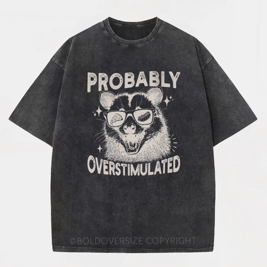 Vintage Probably Overstimulated Washed T-Shirt