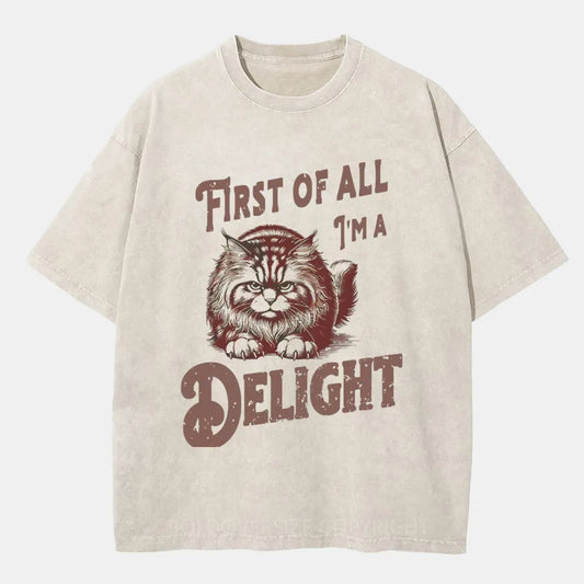 Vintage I'M A Delight Washed T-Shirt