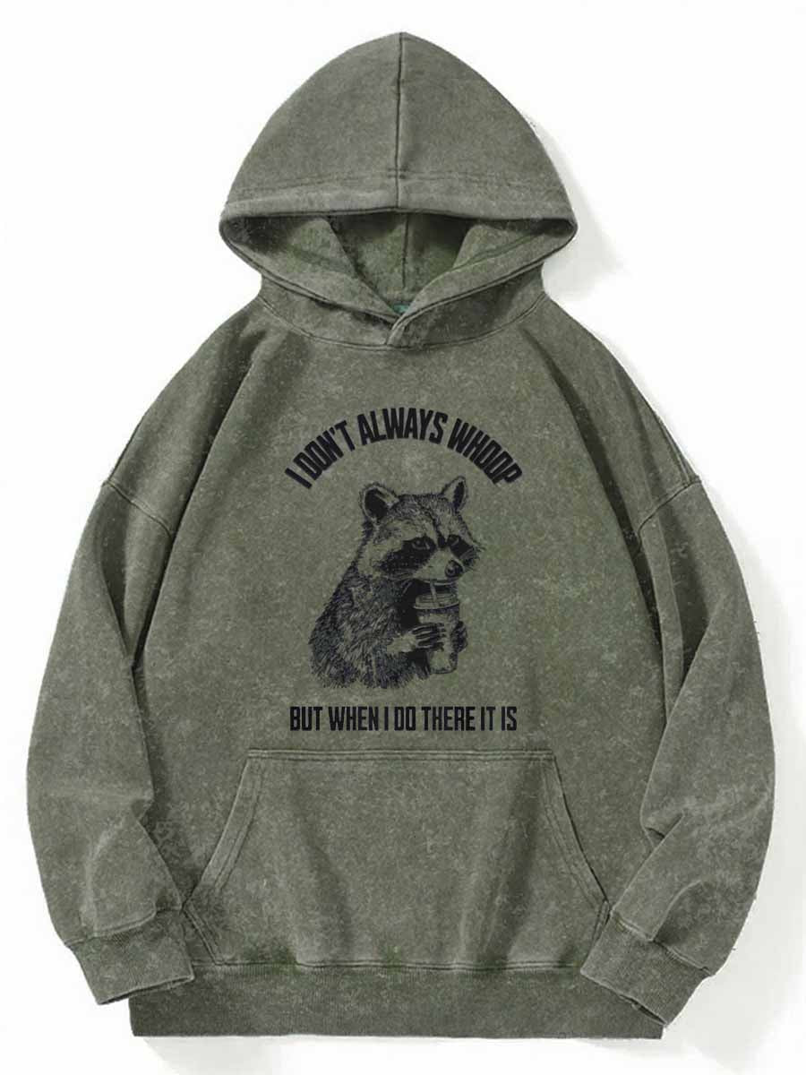 Vintage I Don't Always Whoop Washed Hoodie